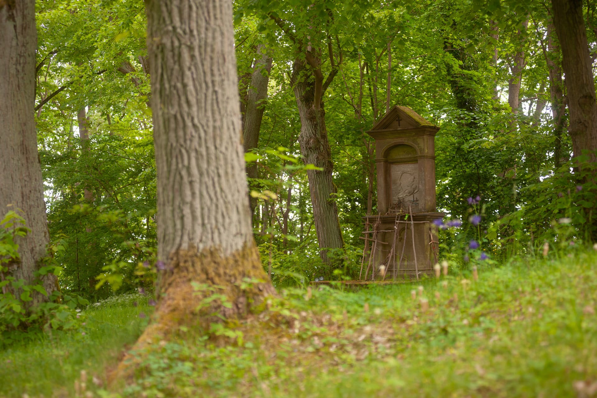 Historisches Grabmal zwischen alten Bäumen auf einem naturnahen Friedhof in Geismar im Eichsfeld