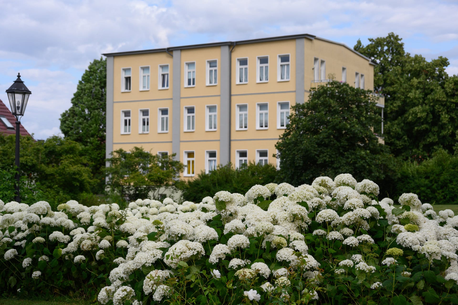 Mehrfamilienhaus am Altständter Kirchplatz in Heilbad Heiligenstadt mit blühenden Hortensien im Vordergrund