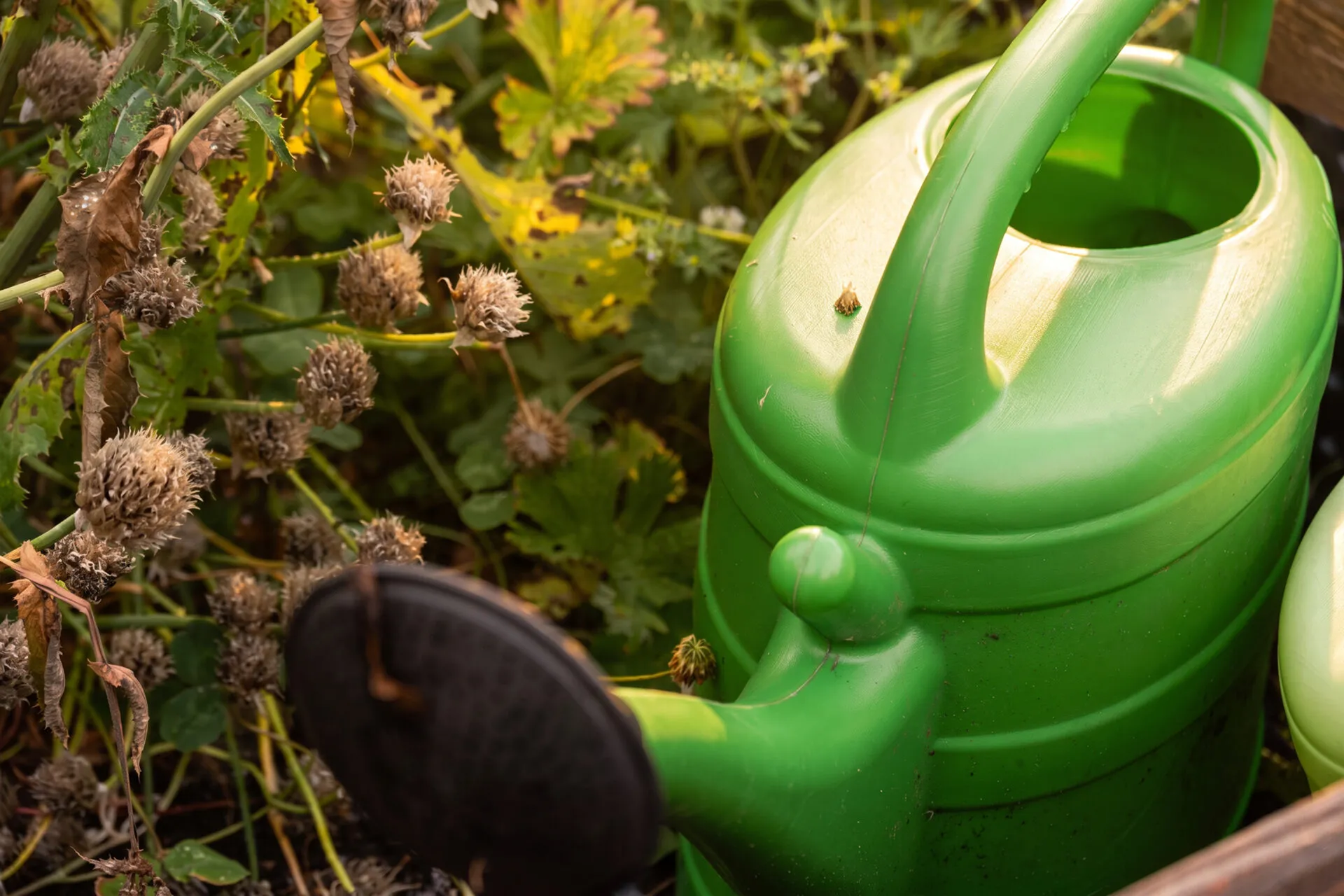 Gießkanne im Mietergarten der KOWO Obereichsfeld, umgeben von verblühten Pflanzen im Beet