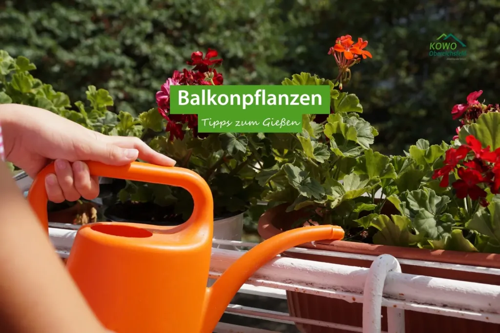 Person gießt Balkonpflanzen mit Geranien auf einem Balkon der KOWO Obereichsfeld – Tipps zum richtigen Gießen