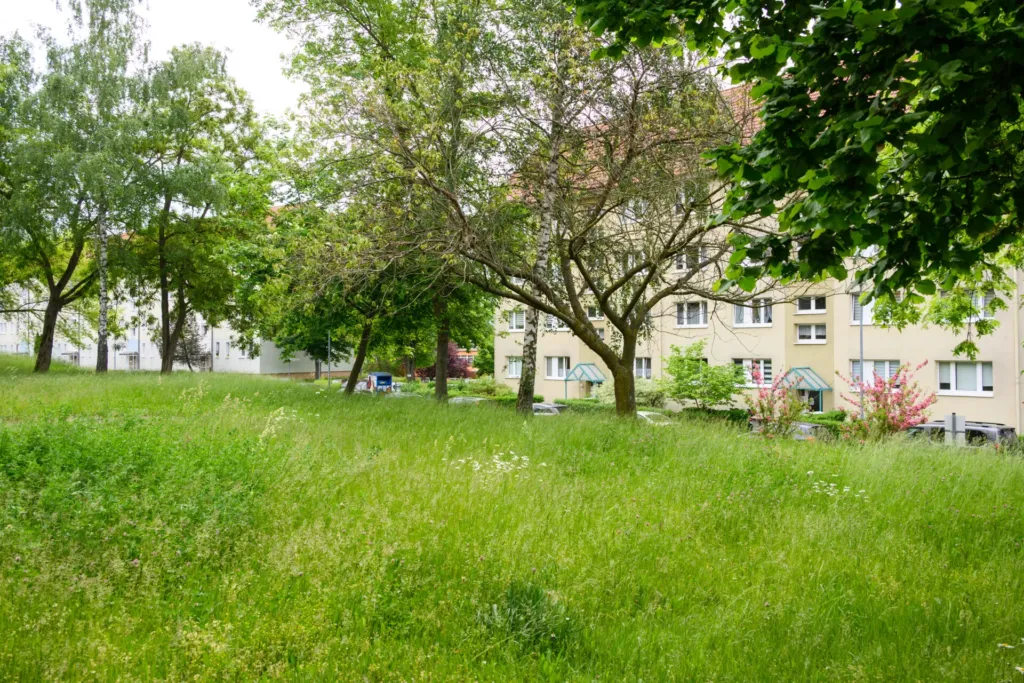 Blühstreifen mit Wildwiese vor Wohngebäuden der KOWO Obereichsfeld, umgeben von Bäumen und Grünflächen.